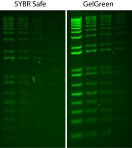 GelGreen Nucleic Acid Stain 10000X DMSO SCT124