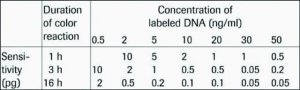 DIG DNA Labeling and Detection Kit 11093657910