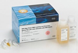 DIG-High Prime DNA Labeling and Detection Starter Kit I 11745832910
