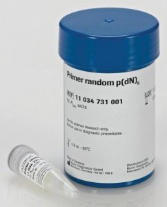 Primer "random" 11034731001