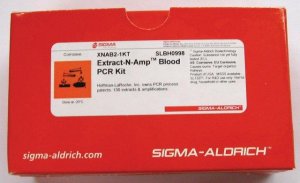 Extract-N-Amp Blood PCR Kit XNAB2-1KT