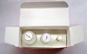 Extract-N-Amp Blood PCR Kit XNAB2-1KT