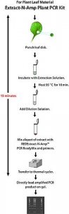 REDExtract-N-Amp Plant PCR Kit XNAP-1KT