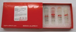 REDExtract-N-Amp Seed PCR Kit XNASS-1KT