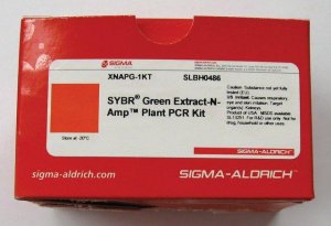 SYBR Green Extract-N-Amp Plant PCR Kit XNAPG-1KT