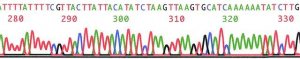 PhasePrep BAC DNA Kit NA0100-1KT