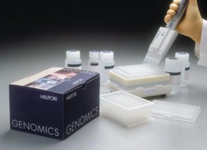 Plasmid Miniprep96 Kit 