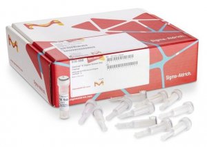 GenElute-E Organic Solvent DNA Cleanup Kit 