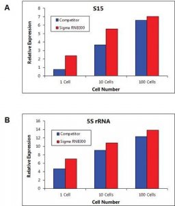 GenElute Single Cell RNA Purification Kit RNB300-50RXN