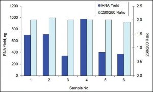 GenElute Single Cell RNA Purification Kit RNB300-50RXN