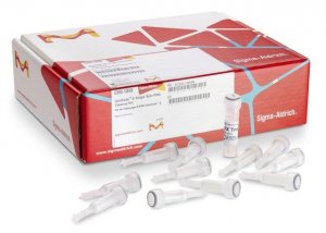 GenElute-E Single Spin RNA Cleanup Kit 