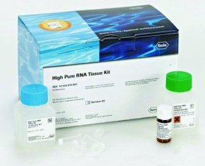 High Pure RNA Tissue Kit 12033674001