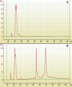 mirPremier microRNA Isolation Kit SNC10-1KT