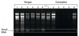Plant/Fungi RNA Purification Kit 