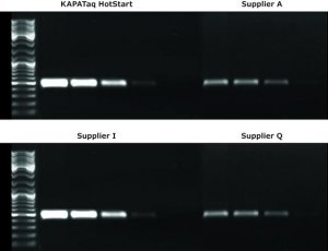 KAPA Taq PCR Kit with dNTPs 