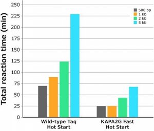 KAPA2G Fast PCR Kit 