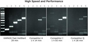 KAPA2G Fast PCR Kit 