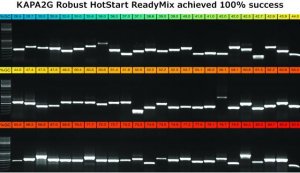 KAPA2G Robust PCR Kit 