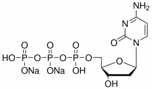 2-Deoxycytidine 5-triphosphate disodium salt 