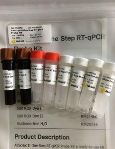 ABScript II One Step RT-qPCR Probe Kit 