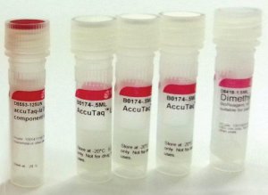 AccuTaq LA DNA Polymerase 