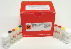Complete Whole Transcriptome Amplification Kit 