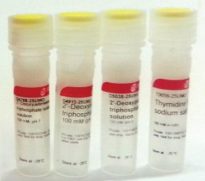 Deoxynucleotide Set, 100 mM DNTP100-1KT