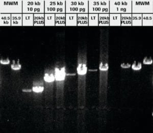 Expand 20 kbPLUS PCR System 11811002001