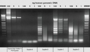 Expand High FidelityPLUS PCR System, dNTPack 