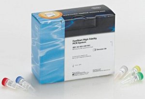FastStart High Fidelity PCR System 