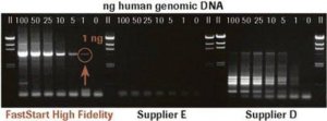 FastStart High Fidelity PCR System, dNTPack 