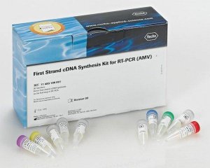 First Strand cDNA Synthesis Kit for RT-PCR (AMV) 11483188001
