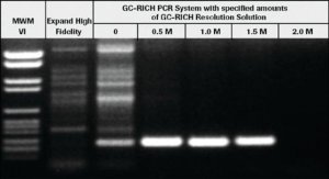 GC-RICH PCR System 12140306001