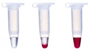 JumpStart REDAccuTaq LA DNA Polymerase 