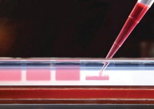 JumpStart REDAccuTaq LA DNA Polymerase 