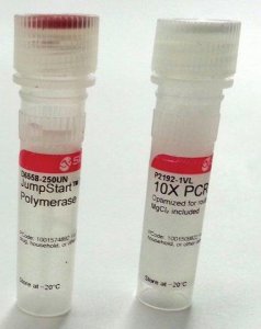 JumpStart Taq DNA Polymerase 