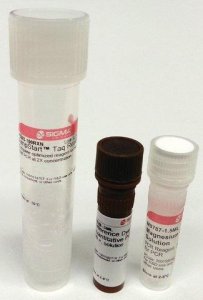JumpStart Taq ReadyMix for Quantitative PCR 