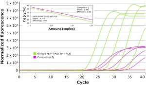 KAPA SYBR FAST One-Step 