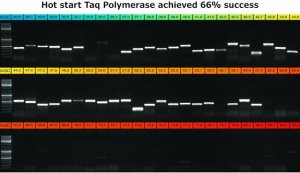 KAPA2G Robust HotStart PCR Kit 