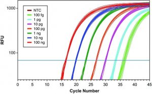 KiCqStart One-Step Probe RT-qPCR ReadyMix, ROX 