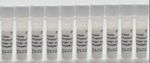 KiCqStart SYBR Green qPCR ReadyMix 