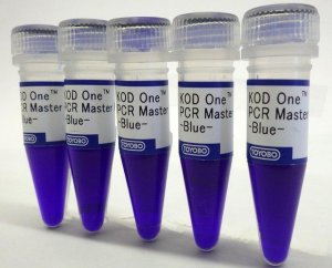 KOD One PCR Master Mix -BLUE- 
