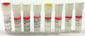 PCR Core kit with Taq DNA polymerase CORET-1KT