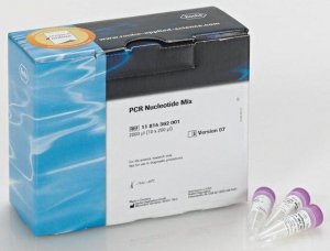 PCR Nucleotide Mix 
