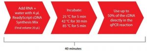 ReadyScript cDNA Synthesis Mix 
