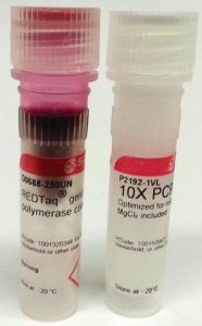 REDTaq Genomic DNA Polymerase 
