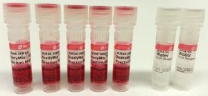 REDTaq ReadyMix PCR Reaction Mix 