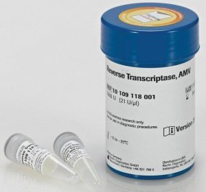 Reverse Transcriptase AMV 10109118001