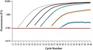 SYBR Green Quantitative RT-qPCR Kit QR0100-1KT