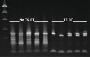 ThermaStop-RT 